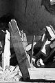 burnt down house 1_010